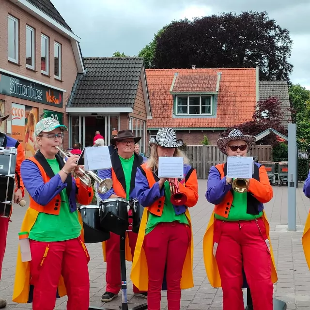 Dweilorkest Frederikshaven vledder