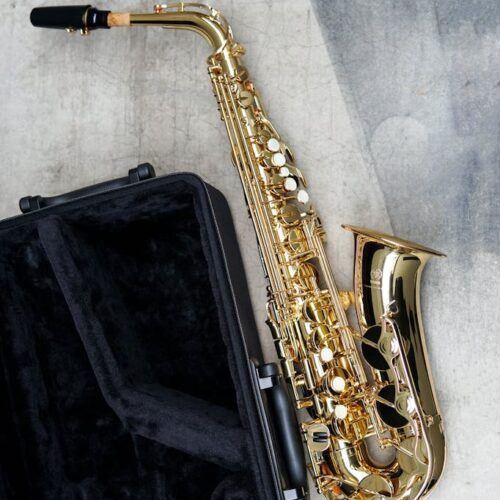 Photo of an alto Saxophone next to the Case